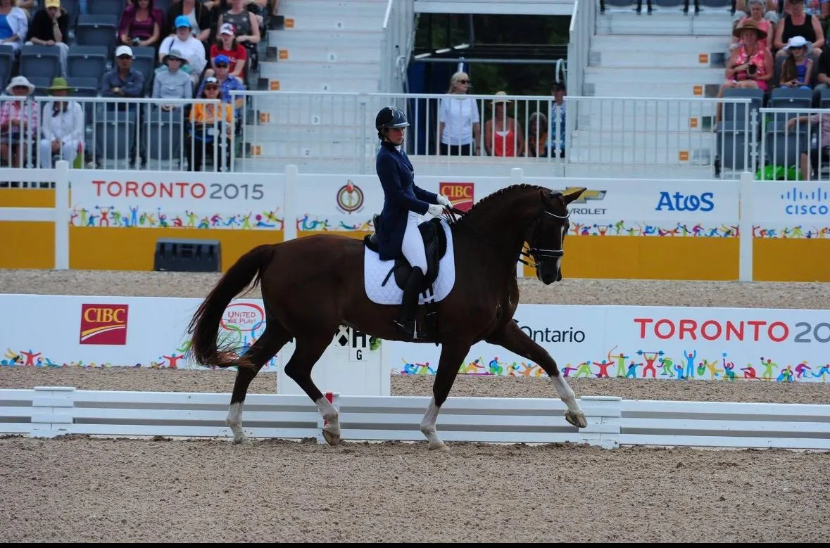 Mica Mabragaña competing on a dark bay horse in an arena with Toronto 2015 banners