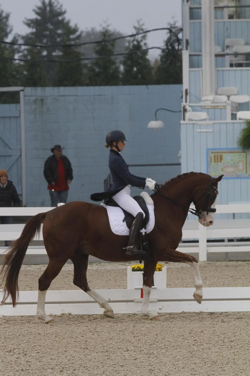 Mica Mabragaña trotting a chestnut horse in an outdoor arena