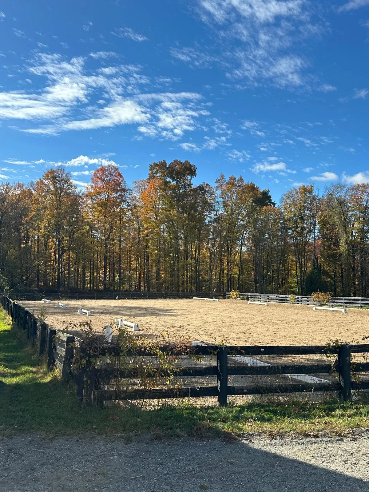 The outdoor sand arena surrounded by autumn trees
